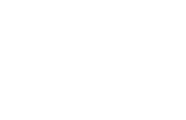 LoveYourBrain Foundation logo